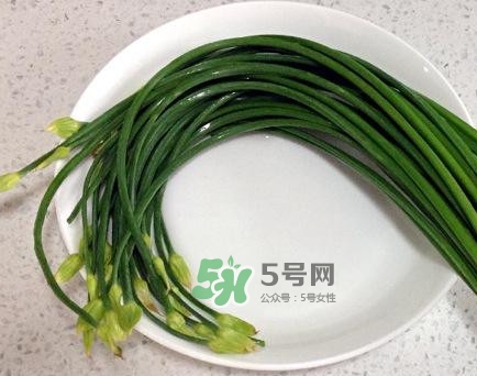 吃韭菜苔回奶嗎？韭菜苔和蒜苗是一回事嗎