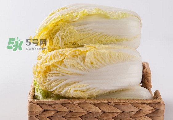 娃娃菜是什么季節(jié)的？娃娃菜什么時候種植