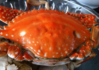 梭子蟹可以清蒸嗎？梭子蟹蒸還是煮？