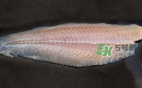 龍利魚是淡水魚嗎？龍利魚是巴沙魚嗎