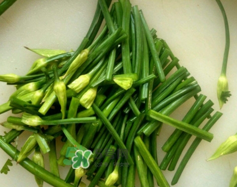 韭菜苔孕婦能吃嗎？孕婦可以吃韭菜苔嗎