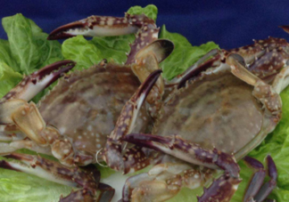 梭子蟹放冷藏能活多久？梭子蟹放冷凍保存多久？