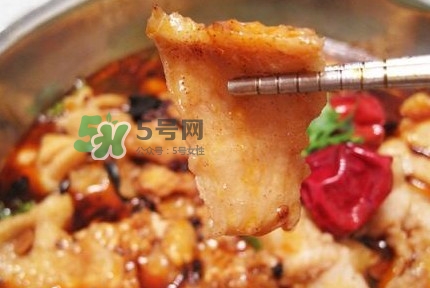 龍利魚有刺嗎？龍利魚有魚鱗嗎