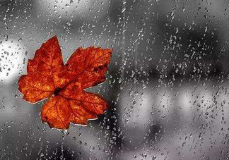 2017處暑會下雨嗎？處暑會下雨好嗎？