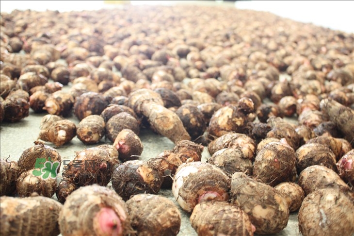 中秋節(jié)為什么吃芋頭？中秋節(jié)吃芋頭的來源