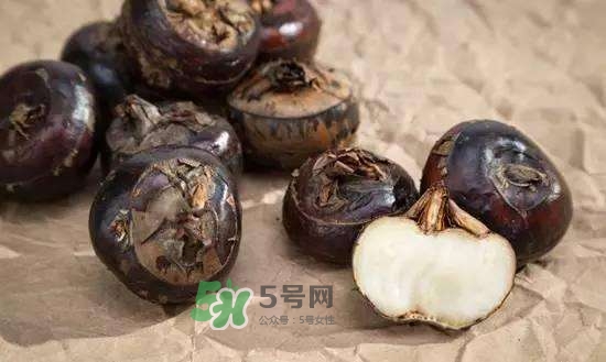 野荸薺是什么樣子的？野荸薺的營(yíng)養(yǎng)價(jià)值