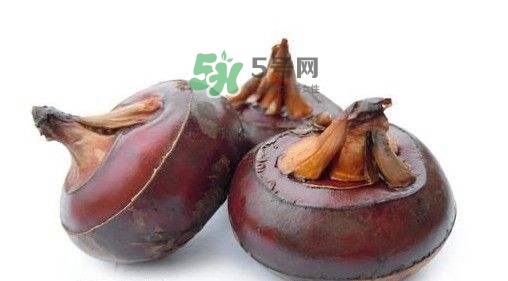 野荸薺怎么吃？野荸薺的食用功效