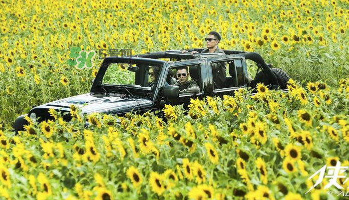 俠盜聯(lián)盟張丹開(kāi)的越野車什么牌子？俠盜聯(lián)盟劉德華開(kāi)的什么車？