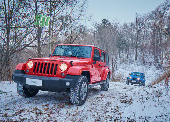 俠盜聯(lián)盟張丹開(kāi)的越野車什么牌子？俠盜聯(lián)盟劉德華開(kāi)的什么車？