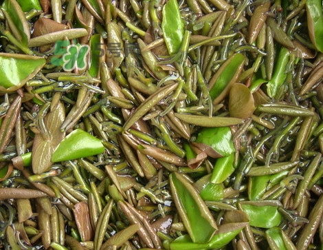 莼菜是發(fā)物嗎？莼菜涼拌要過開水嗎