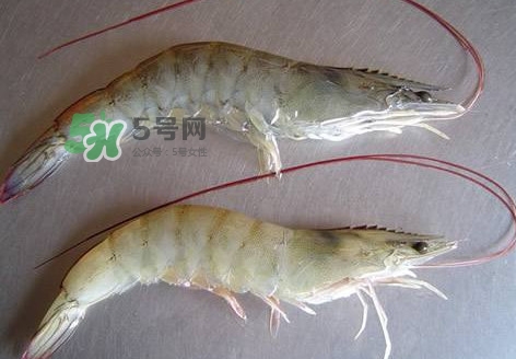 太湖白蝦多少錢一斤？太湖白蝦干多少錢一斤