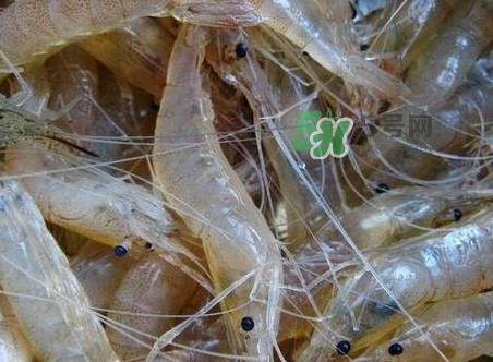 太湖白蝦什么時候上市？太湖白蝦上市時間