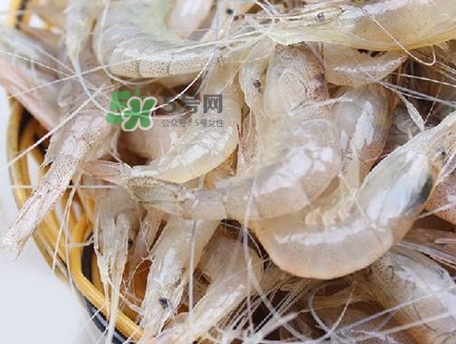 白蝦是河蝦還是海蝦？白蝦是寒性的嗎