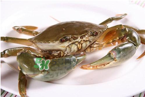 青蟹可以冷凍嗎？青蟹冷凍了還可以吃嗎？