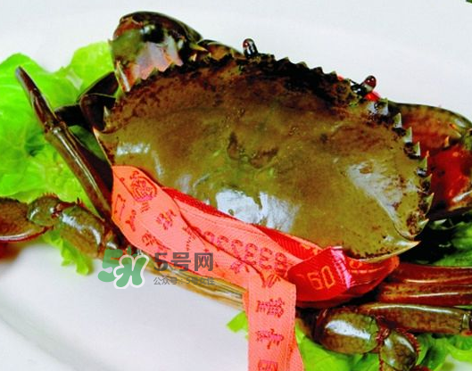 青蟹能放幾天？青蟹能活多久？