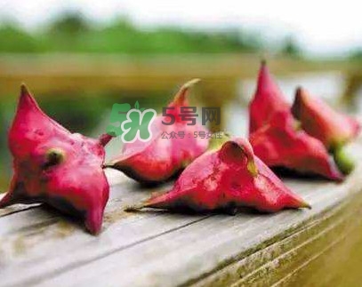 紅菱什么時候上市？什么時候采紅菱