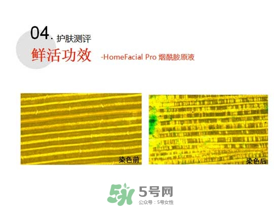 homefacialpro煙酰胺原液怎么樣？hfp煙酰胺原液好用嗎