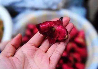 紅菱怎么吃？吃紅菱有什么好處？