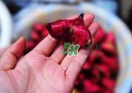 紅菱怎么吃？吃紅菱有什么好處？