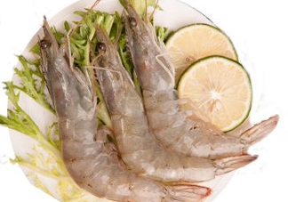 白蝦是河蝦還是海蝦？白蝦是寒性的嗎