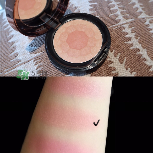 適合黃皮的腮紅 黃皮適合什么腮紅 適合黃皮的腮紅 黃皮適合什么腮紅