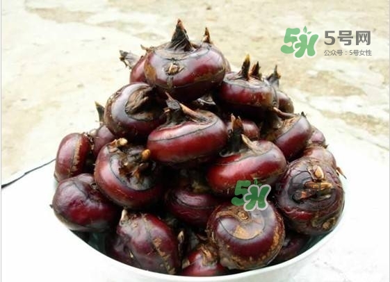 野荸薺是什么樣子的？野荸薺的營(yíng)養(yǎng)價(jià)值