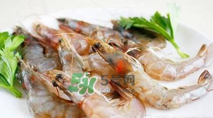 白蝦有寄生蟲嗎？如何選購(gòu)新鮮的蝦