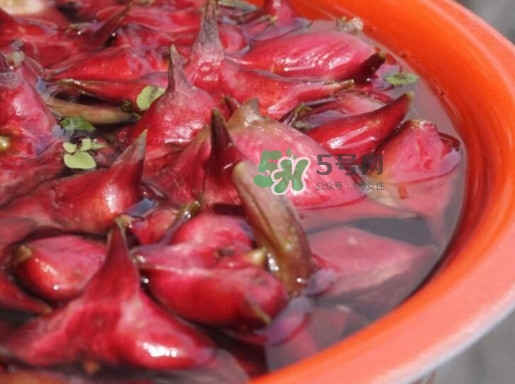 紅菱什么時候上市？什么時候采紅菱