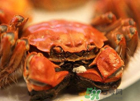 太湖蟹什么時候上市？太湖蟹幾月份有