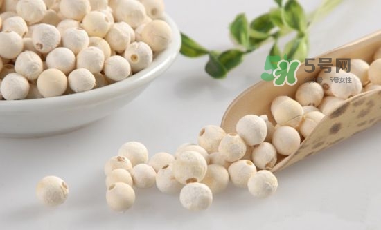 怎么辨別荸薺粉的真假？荸薺粉哪個(gè)牌子的好