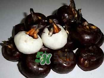 荸薺有寄生蟲嗎？荸薺有什么藥用價值？