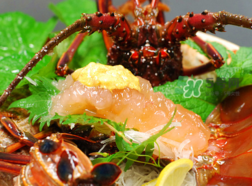 七彩神蝦吃什么？七彩神蝦怎么養(yǎng)？