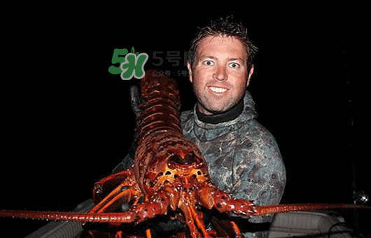 七彩神蝦多少錢一斤？七彩神蝦估值