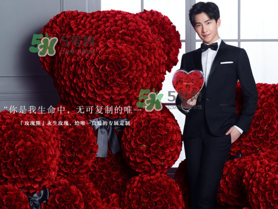 roseonly熊怎么樣？roseonly玫瑰熊好看嗎？