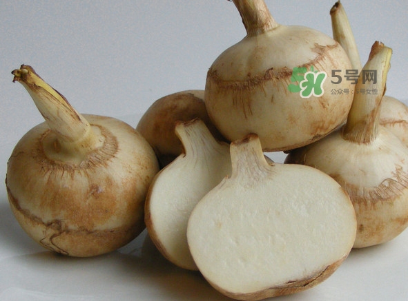 慈姑是什么？慈姑是水生植物嗎