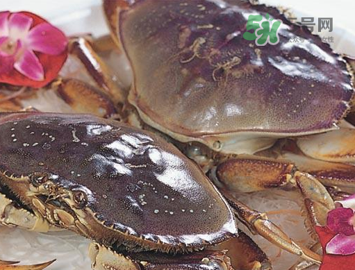 太子蟹好吃還是面包蟹好吃？太子蟹和面包蟹的區(qū)別