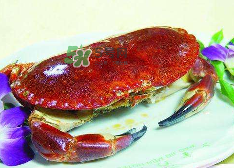 太子蟹蒸多長(zhǎng)時(shí)間？太子蟹清蒸為什么會(huì)苦？