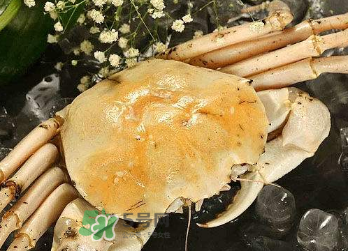 雪蟹多少錢一斤？雪蟹多少錢一只？