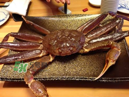 雪蟹多少錢一斤？雪蟹多少錢一只？