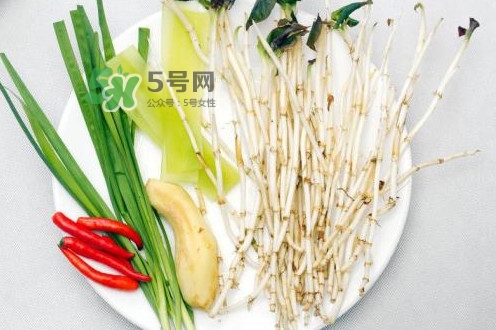 魚(yú)腥草用開(kāi)水泡可以嗎？魚(yú)腥草用量多少克？