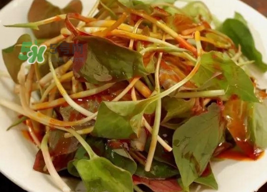 魚(yú)腥草多少錢(qián)一斤？干的魚(yú)腥草多少錢(qián)一斤