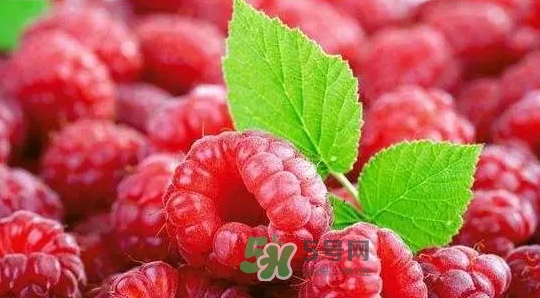 pola莓果酵素怎么吃？pola紅莓酵素怎么樣？