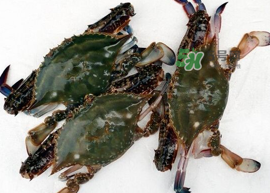 青島梭子蟹多少錢(qián)一斤？青島梭子蟹什么時(shí)候上市？