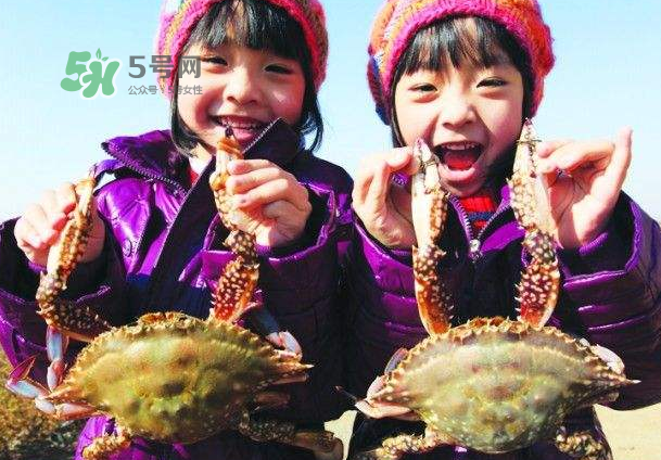 青島梭子蟹多少錢(qián)一斤？青島梭子蟹什么時(shí)候上市？