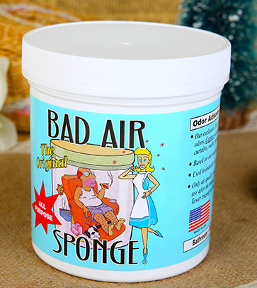 Bad Air Sponge有用嗎？Bad Air Sponge效果如何？