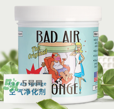 Bad Air空氣凈化膏介紹 Bad Air空氣凈化膏原理 Bad Air空氣凈化膏介紹 Bad Air空氣凈化膏原理