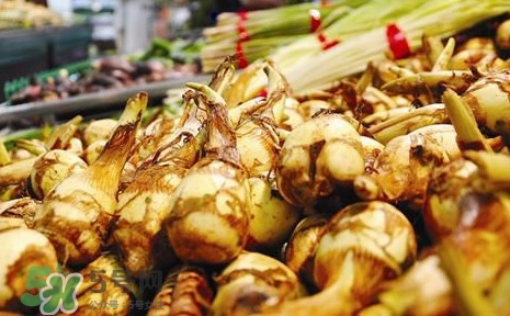 慈姑什么時(shí)候種植？慈姑什么時(shí)候上市