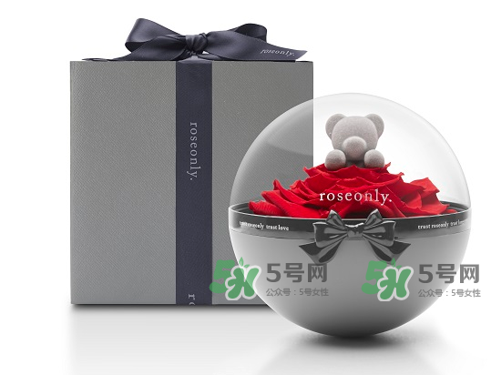 roseonly熊怎么樣？roseonly玫瑰熊好看嗎？