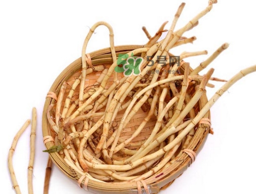 折耳根有毒嗎？折耳根有毒吃了會(huì)傷腎？