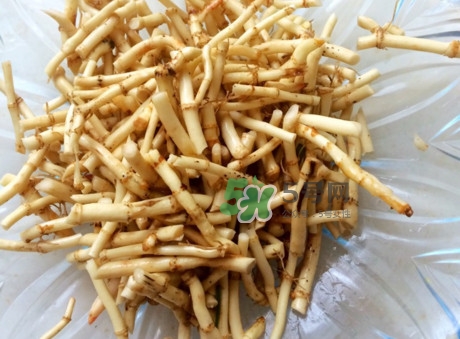 魚腥草可以和蜂蜜一起喝嗎？蜂蜜能和魚腥草一起泡嗎